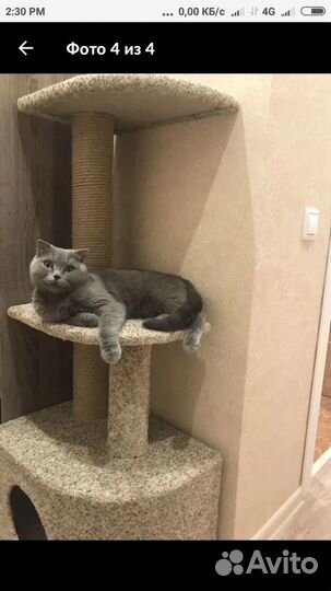 Когтеточка для кошек