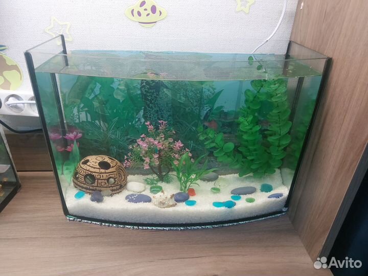 Аквариум