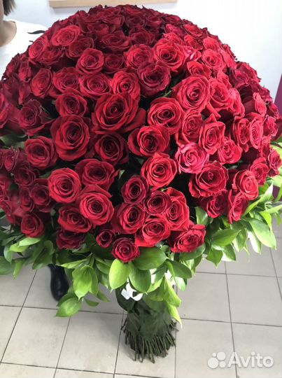 WOW - роза гигант 1,55 м