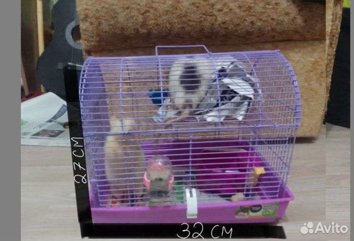 Крысы с клеткой