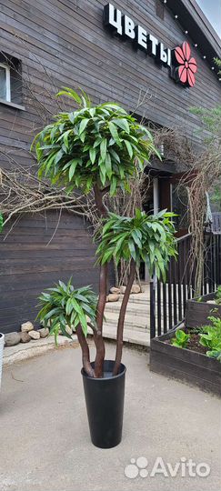 Искусственное дерево