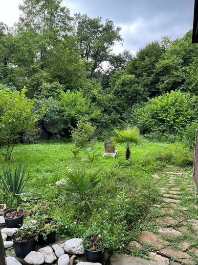 Участок 8 сот. (СНТ, ДНП)