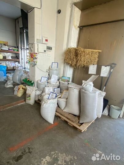 Подсолнечный фуз