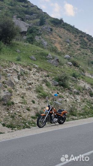 Honda steed