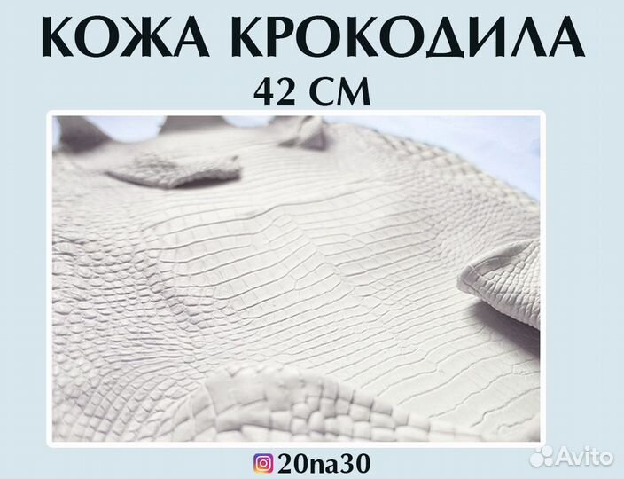 Кожа крокодила краст 42 см в наличии