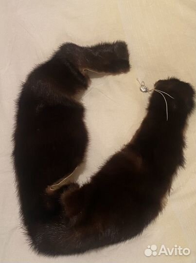 Шкурки норки