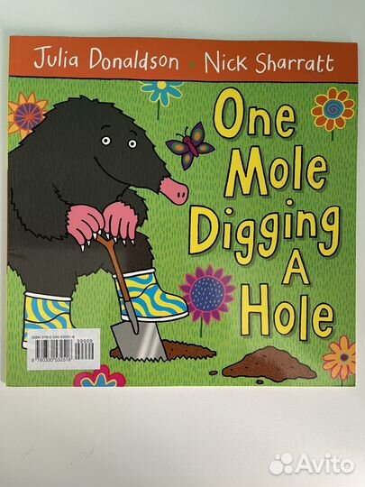 Книга для детей на английском Дональдсон One Mole