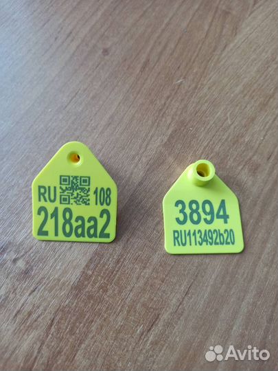 Бирки 40*48 для животных готовые