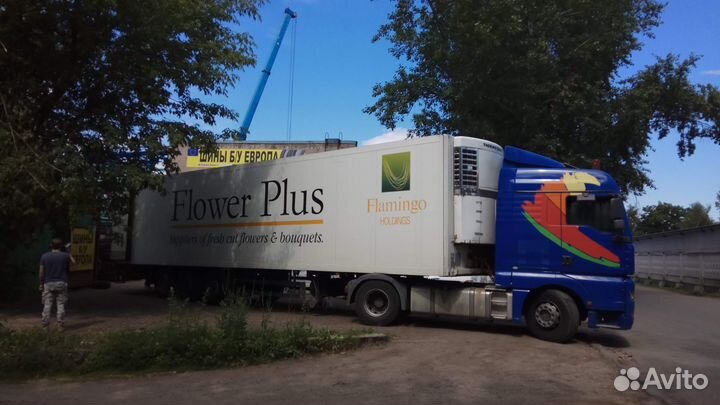 Continental ContiWinterContact TS 850 P 235/45 R18 98V