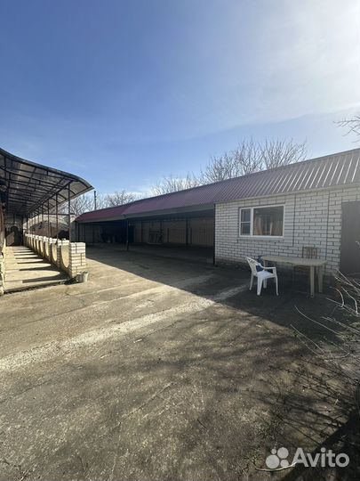 Продаю мини ферму