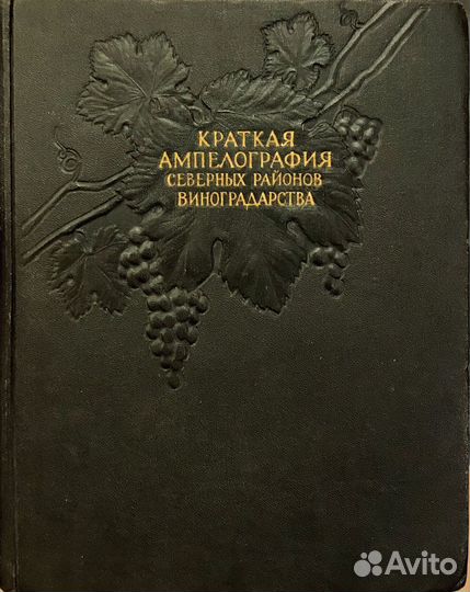 Краткая ампелография северных районов виноградарст