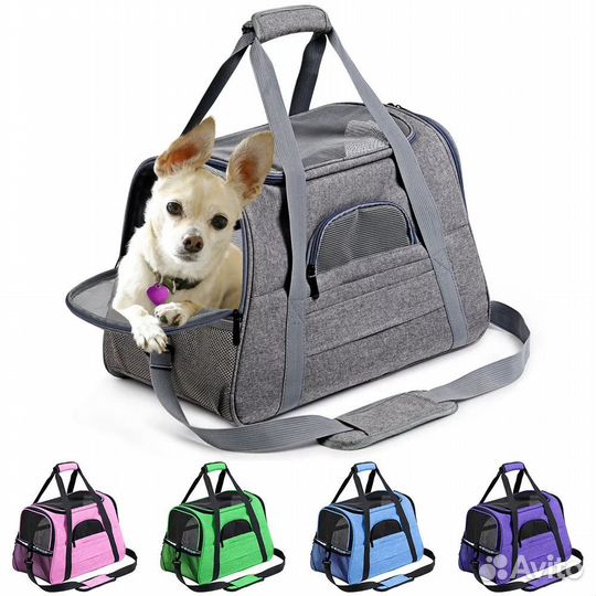 Сумка переноска прокат