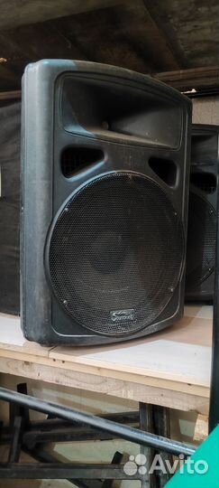 Акустическая система Soundking FP0215A