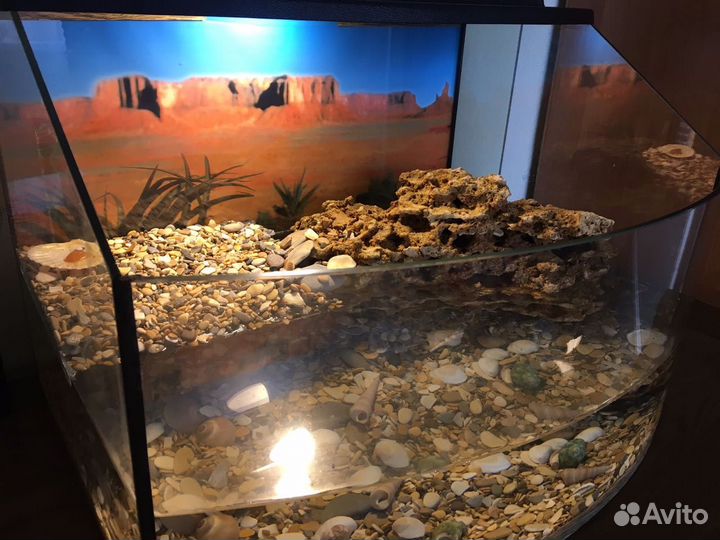 Аква Террариум для черепах с островом 47x36x32