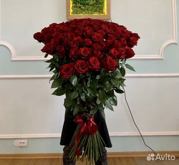 Розы гиганты