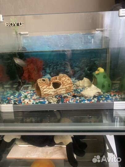 Аквариум