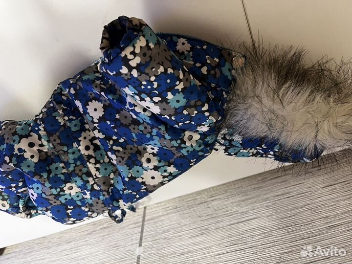 Одежда для собаки