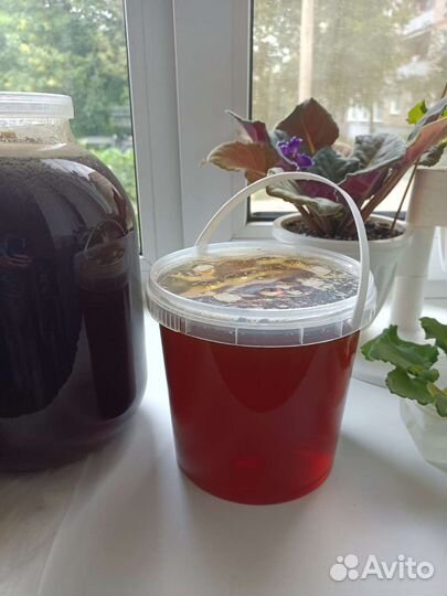 Натуральный мед 23 год качка