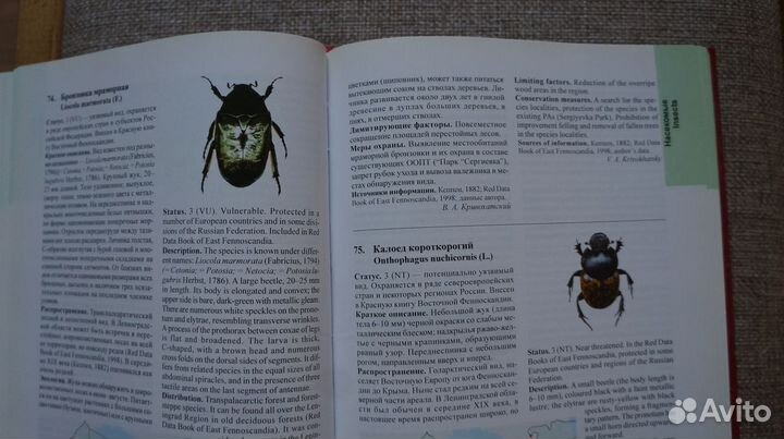 Красная Книга Природы Горецкий Букварь