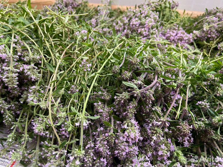 Чабрец лимонный и другие травы