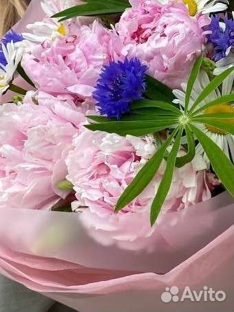 Пионы и васильки