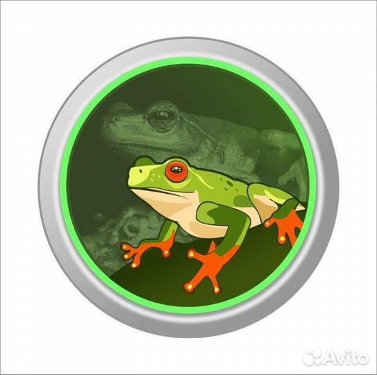 Графический дизайнер, иллюстратор