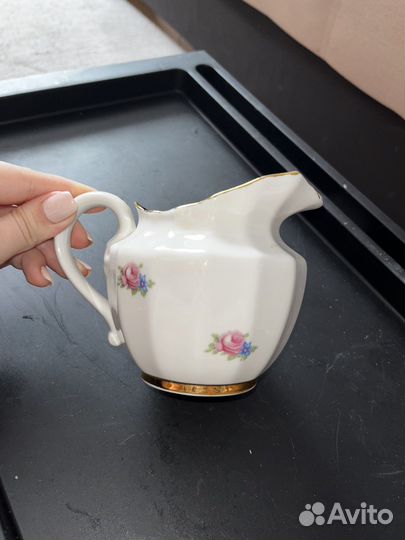 Сливочник Вербилки