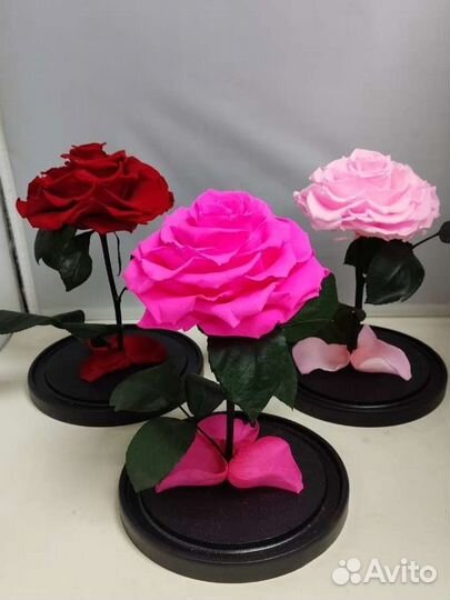 Роза в колбе