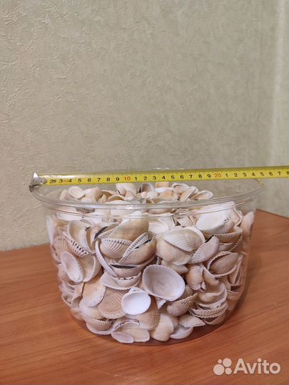 Ракушки 5 литров