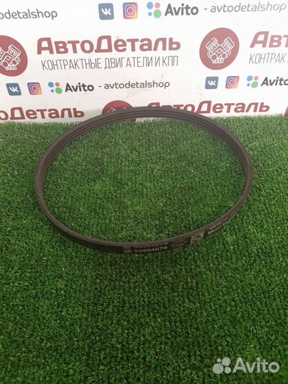 Ремень приводной Chevrolet Cruze 2012 55564676