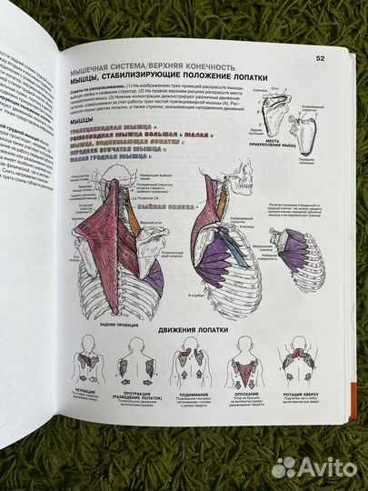 Атлас-раскраска 