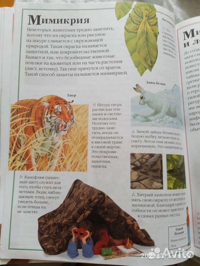 Энциклопедия для детей от А до Я