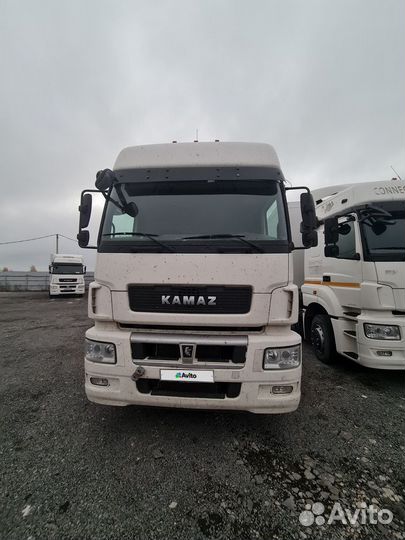 КАМАЗ 5490-DC, 2019