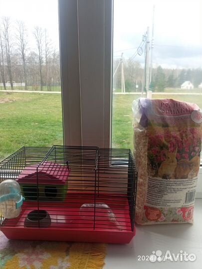 Клетка для джунгарского хомяка, корм, опилки