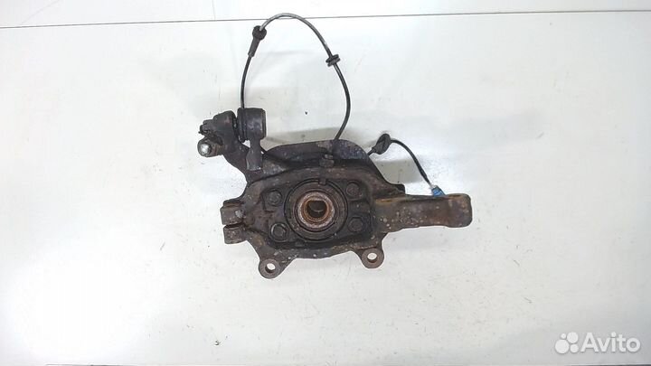 Ступица (кулак, цапфа) Nissan Murano, 2008