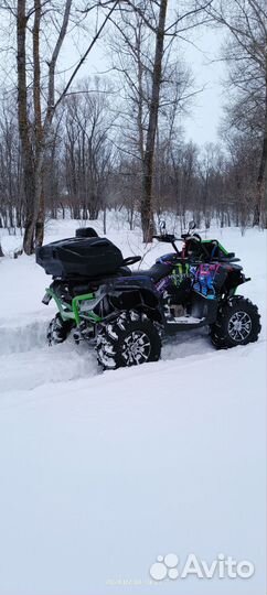 Квадроцикл Stels guepard 850G Trophy PRO EPS