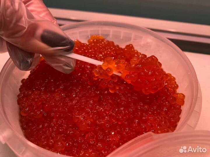 Красная икра 2023 Разбористая Опт