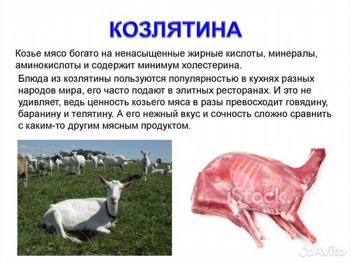 Мясо козлятина