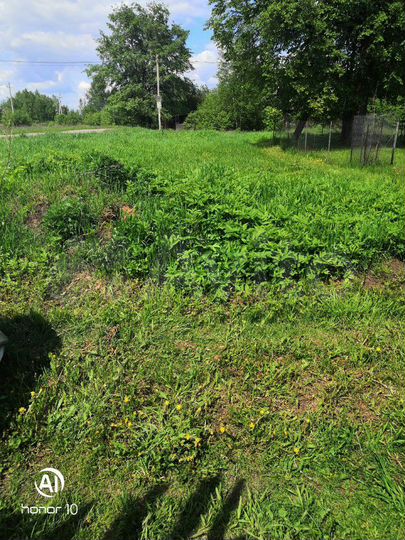 Участок 12 сот. (ИЖС)