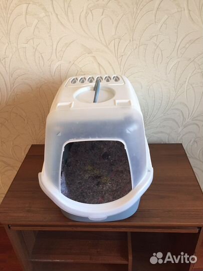 Принадлежности и еда для кошек