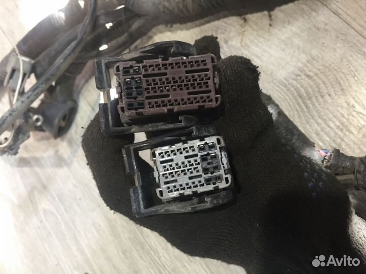 Проводка подкапотная двигателя Nissan tiida