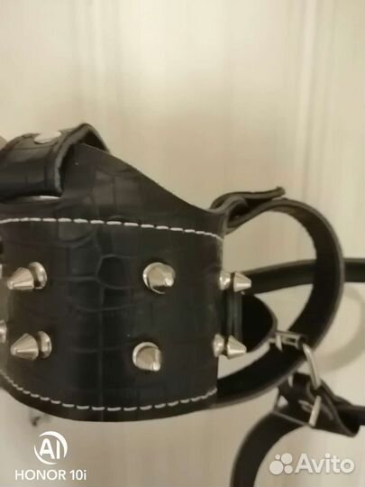 Намордник для собак