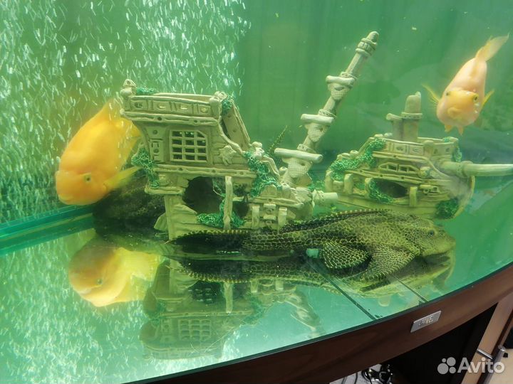 Аквариум с тумбой 450 литров