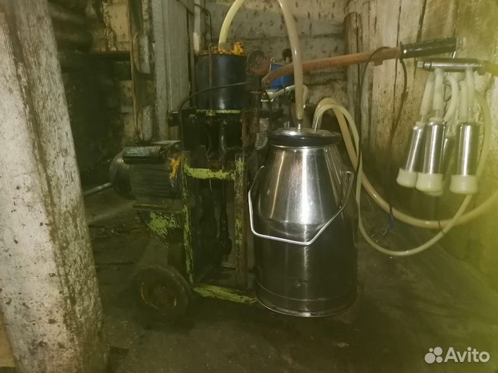 Доильный аппарат бу
