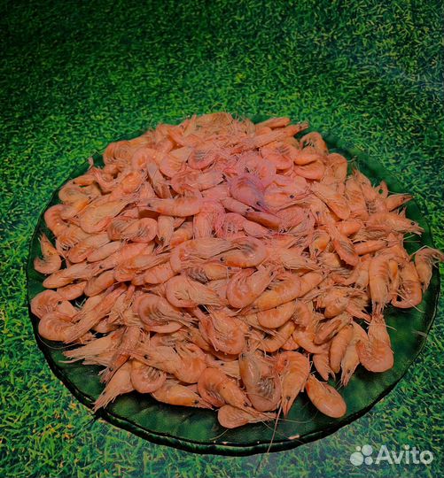Азовские креветки