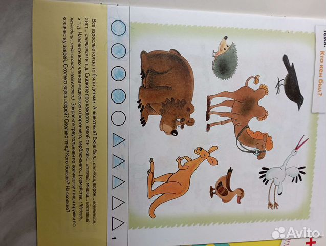 Рабочие тетради 4+