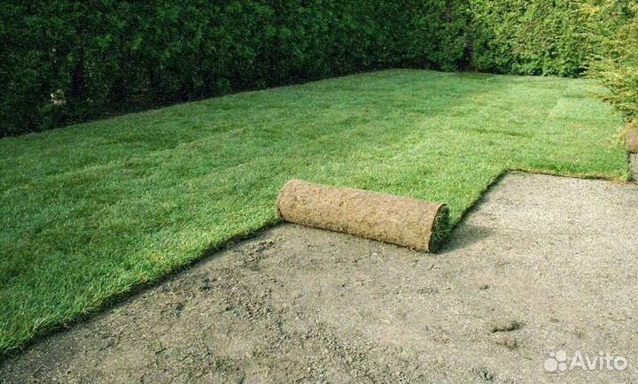 Укладка газона