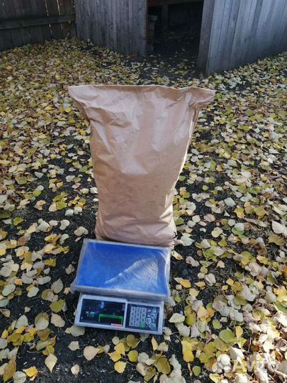 Березовый уголь