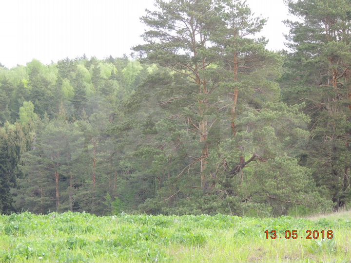 Участок 11 сот. (ИЖС)