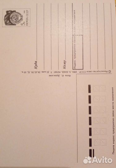 Открытки СССР поздравительные с цветами чистые